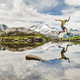 Image for article titled These Electrifying Photos Celebrate 50 Years Of USA's Wilderness Act